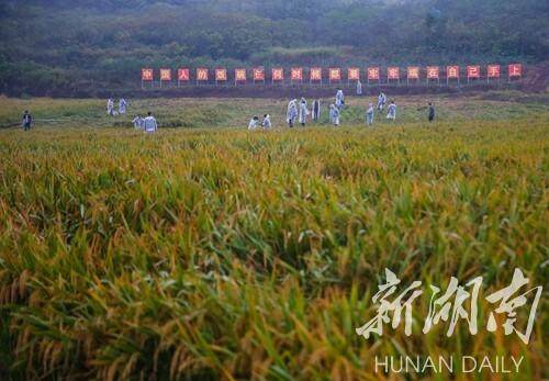 1621662926780090410.jpg 1621662926780090410.jpg